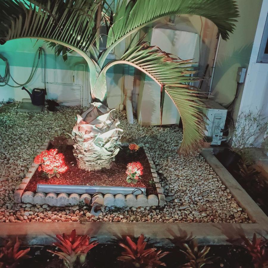 Tropical Palm Motel North Fort Myers Eksteriør bilde